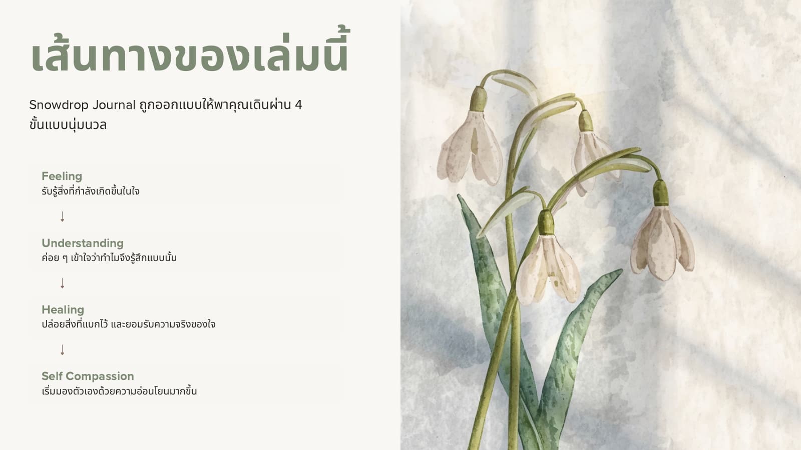 หน้าจริงจาก Snowdrop Journal: เส้นทาง 4 ช่วง Feeling, Understanding, Healing และ Self Compassion พร้อมภาพดอก Snowdrop